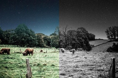 Can Spy Cameras Work in Complete Darkness?